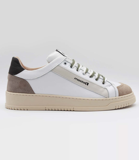 LOUIS Model 2
