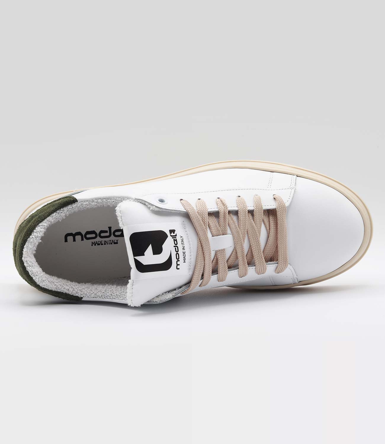 FAST Model 1